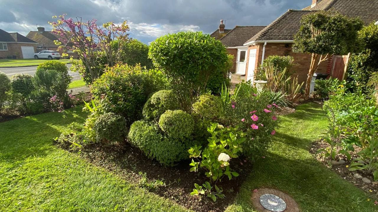Beautiful mixed border with flowering shrubs