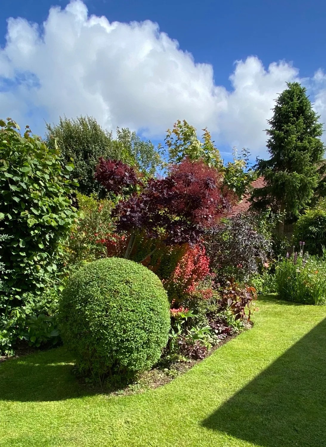 Beautiful garden landscape